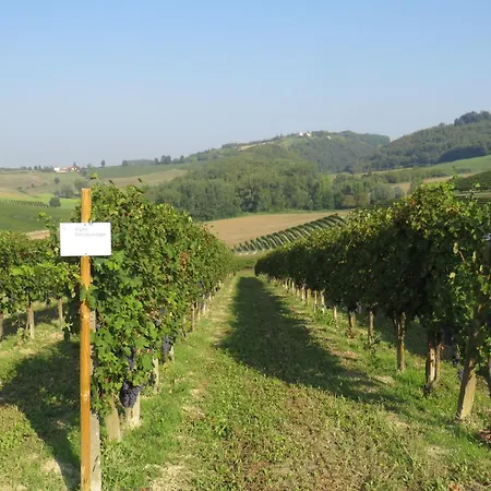 Corte Arancio Your In The Heart Of Monferrato * Cella Monte